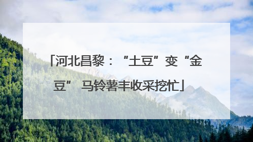 河北昌黎：“土豆”变“金豆” 马铃薯丰收采挖忙