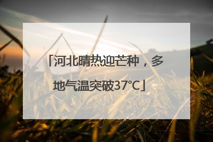 河北晴热迎芒种，多地气温突破37℃