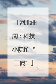 河北曲周：科技小院忙“三夏”