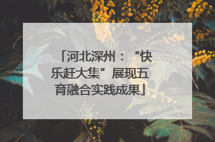 河北深州：“快乐赶大集”展现五育融合实践成果