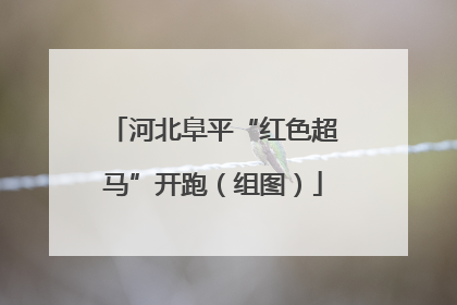 河北阜平“红色超马”开跑（组图）