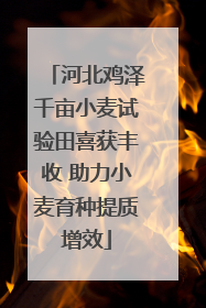 河北鸡泽千亩小麦试验田喜获丰收 助力小麦育种提质增效