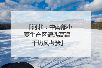 河北：中南部小麦生产区遭遇高温干热风考验