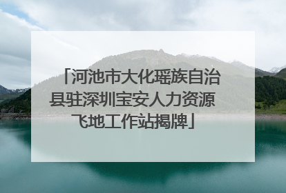 河池市大化瑶族自治县驻深圳宝安人力资源飞地工作站揭牌