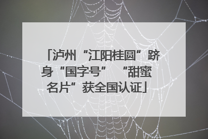 泸州“江阳桂圆”跻身“国字号” “甜蜜名片”获全国认证