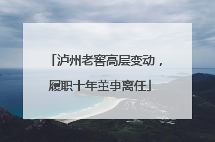 泸州老窖高层变动，履职十年董事离任