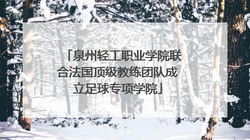 泉州轻工职业学院联合法国顶级教练团队成立足球专项学院
