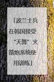 波兰士兵在韩国接受“天舞”火箭炮系统使用训练