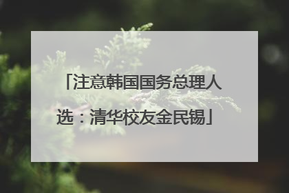 注意韩国国务总理人选：清华校友金民锡