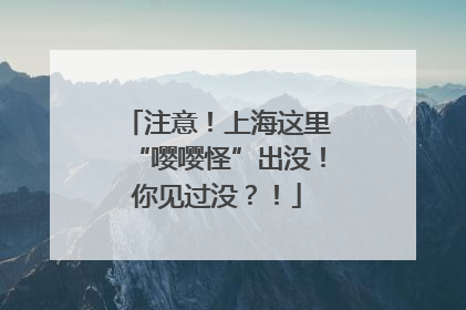 注意！上海这里“嘤嘤怪”出没！你见过没？！