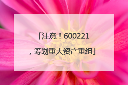 注意！600221，筹划重大资产重组