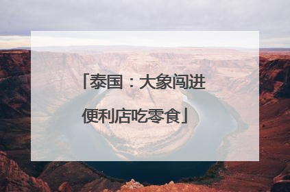 泰国：大象闯进便利店吃零食
