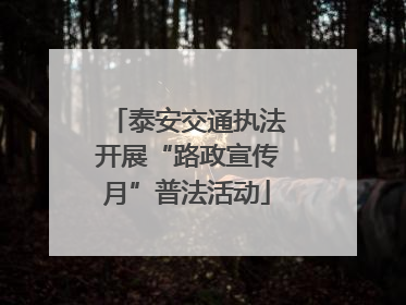 泰安交通执法开展“路政宣传月”普法活动