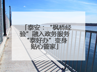 泰安：“枫桥经验”融入政务服务 “泰好办”变身贴心管家
