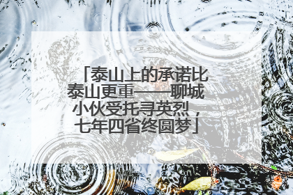 泰山上的承诺比泰山更重——聊城小伙受托寻英烈，七年四省终圆梦