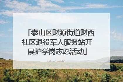 泰山区财源街道财西社区退役军人服务站开展护学岗志愿活动