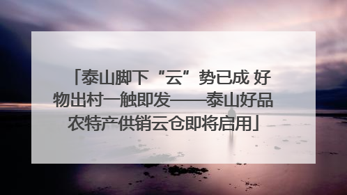 泰山脚下“云”势已成 好物出村一触即发——泰山好品农特产供销云仓即将启用