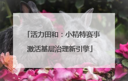 活力田和：小精特赛事激活基层治理新引擎
