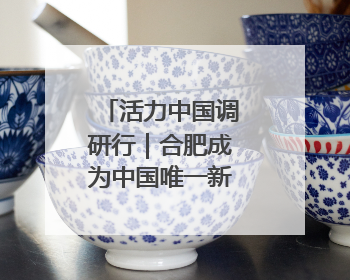 活力中国调研行｜合肥成为中国唯一新能源汽车“四试点”城市