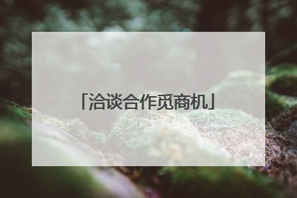 洽谈合作觅商机