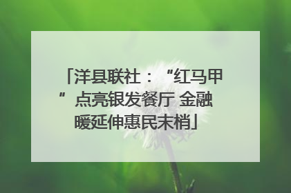 洋县联社：“红马甲”点亮银发餐厅 金融暖延伸惠民末梢