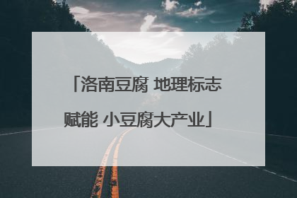 洛南豆腐 地理标志赋能 小豆腐大产业