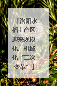 洛阳水稻主产区迎来规模化、机械化“二次变革”