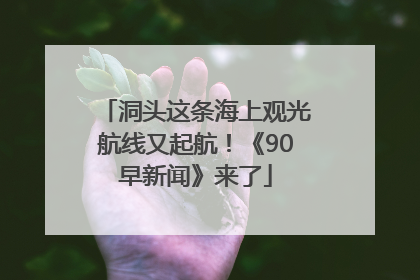 洞头这条海上观光航线又起航！《90早新闻》来了