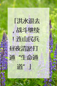 洪水退去，战斗继续！连山民兵昼夜清淤打通“生命通道”