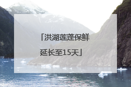 洪湖莲蓬保鲜延长至15天