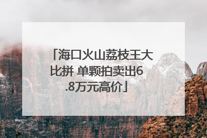 海口火山荔枝王大比拼 单颗拍卖出6.8万元高价