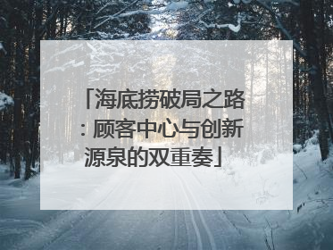 海底捞破局之路：顾客中心与创新源泉的双重奏