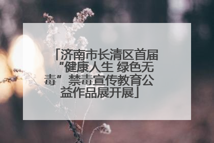 济南市长清区首届“健康人生 绿色无毒”禁毒宣传教育公益作品展开展