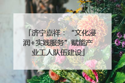 济宁嘉祥：“文化浸润+实践服务”赋能产业工人队伍建设