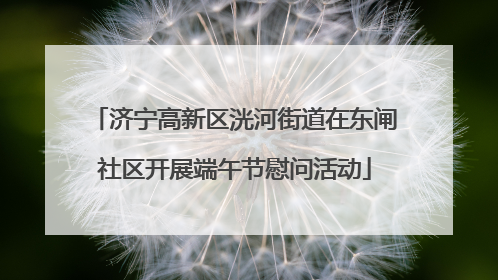 济宁高新区洸河街道在东闸社区开展端午节慰问活动