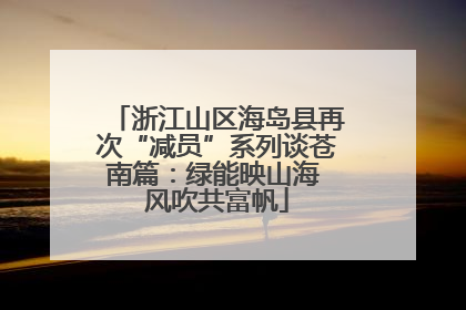 浙江山区海岛县再次“减员”系列谈苍南篇：绿能映山海 风吹共富帆