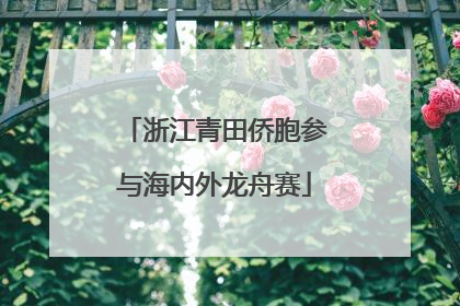 浙江青田侨胞参与海内外龙舟赛