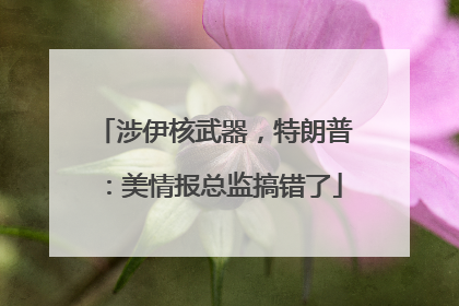 涉伊核武器，特朗普：美情报总监搞错了