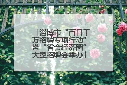 淄博市“百日千万招聘专项行动”暨“省会经济圈”大型招聘会举办
