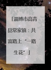 淄博市高青县常家镇：共富路上“一路生花”