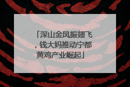 深山金凤振翅飞，钱大妈推动宁都黄鸡产业崛起