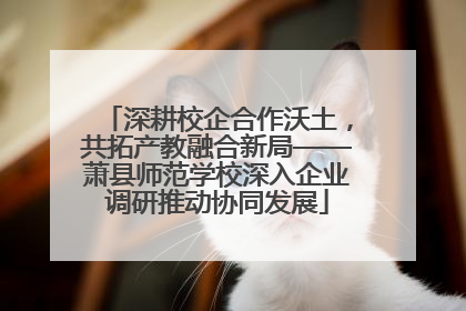 深耕校企合作沃土，共拓产教融合新局——萧县师范学校深入企业调研推动协同发展
