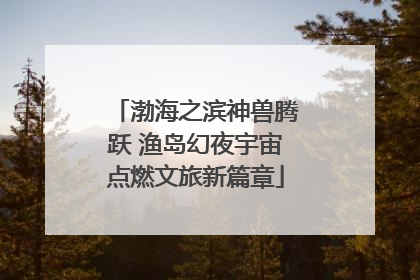 渤海之滨神兽腾跃 渔岛幻夜宇宙点燃文旅新篇章