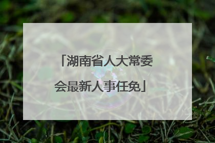 湖南省人大常委会最新人事任免