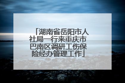 湖南省岳阳市人社局一行来重庆市巴南区调研工伤保险经办管理工作