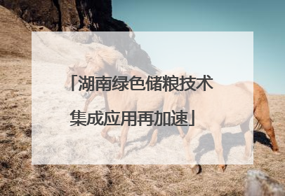 湖南绿色储粮技术集成应用再加速