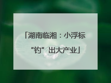 湖南临湘：小浮标“钓”出大产业