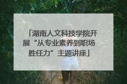 湖南人文科技学院开展“从专业素养到职场胜任力”主题讲座