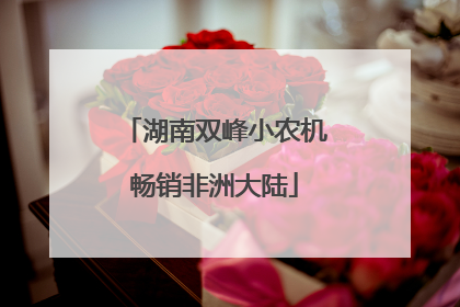 湖南双峰小农机畅销非洲大陆