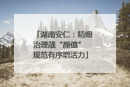 湖南安仁：精细治理靓“颜值” 规范有序增活力